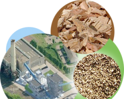 L’énergie biomasse, une énergie renouvelable